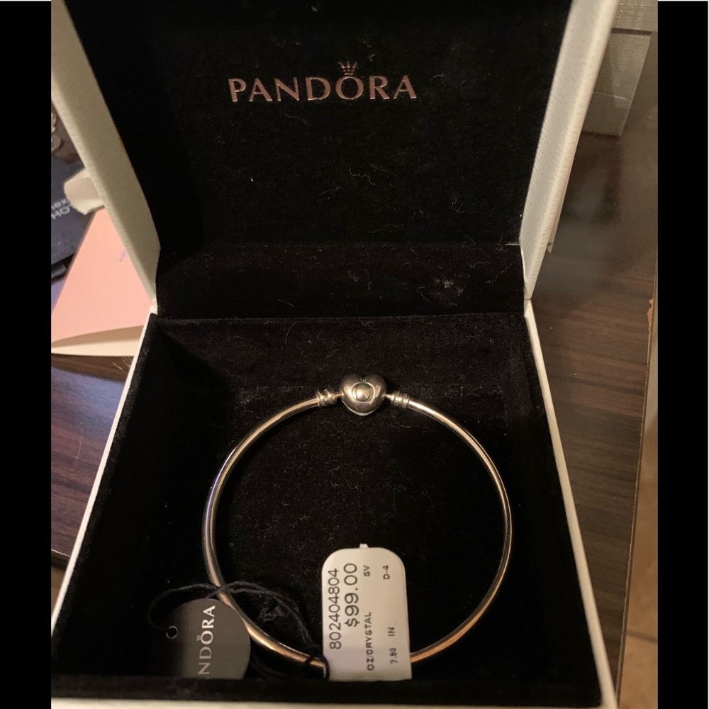 New Pandora Bangle Bracelet